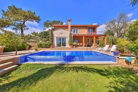 Mavi Kalkan