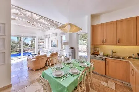 Mavi Kalkan