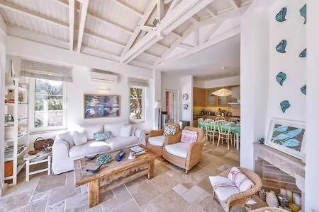 Mavi Villa *
