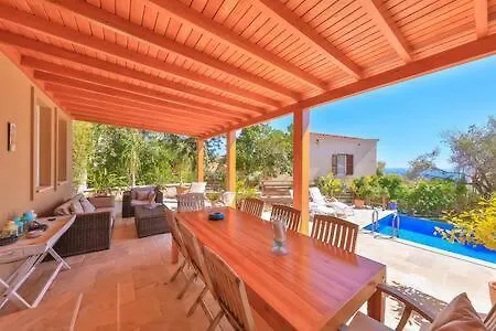 Mavi Kalkan