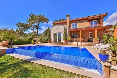 Mavi Villa *
